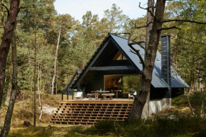 Elegant Designed A-Frame House On Bornholm in Nexø